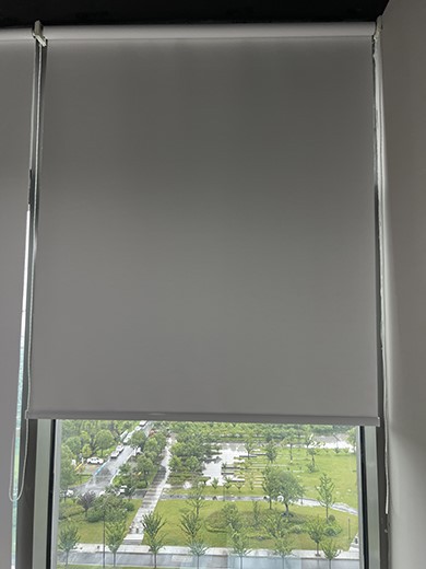 Curtain Fabric SS Curtain Fabric SS